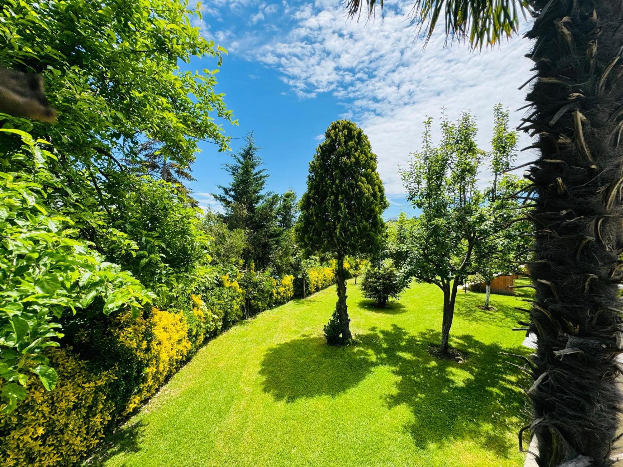 Istanbul Airport Treekos Suite Hotel Karaburun  Exteriör bild