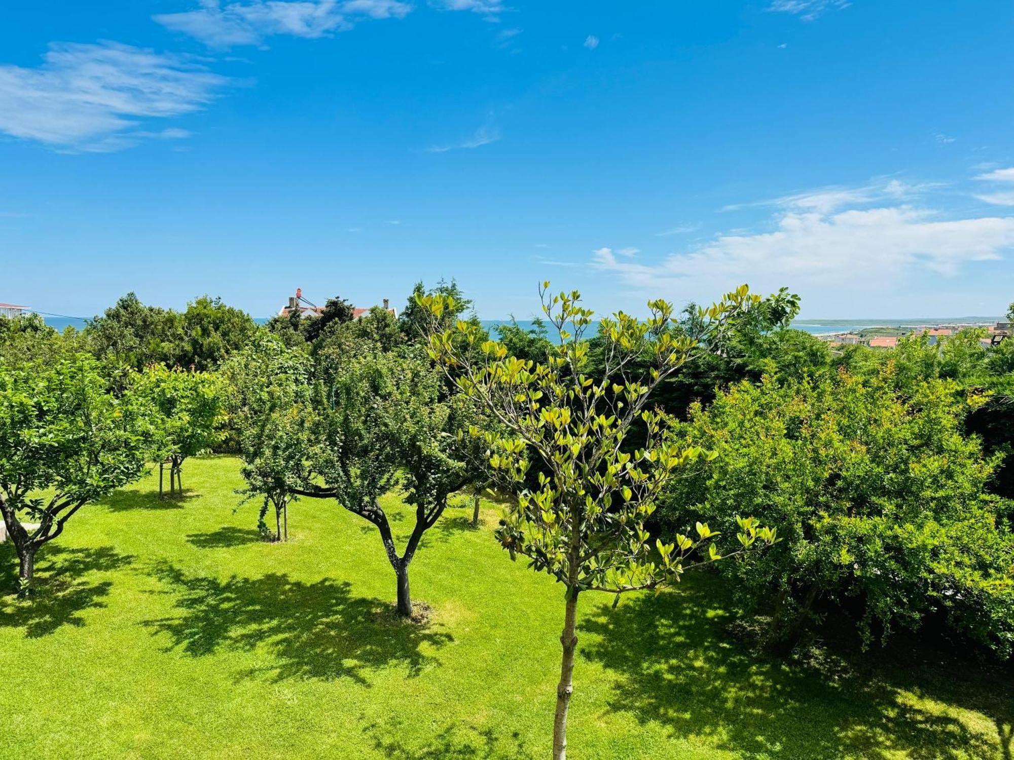 Istanbul Airport Treekos Suite Hotel Karaburun  Exteriör bild